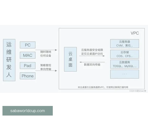 开云官方入口全方位指南涵盖注册使用功能解析与安全访问技巧详解